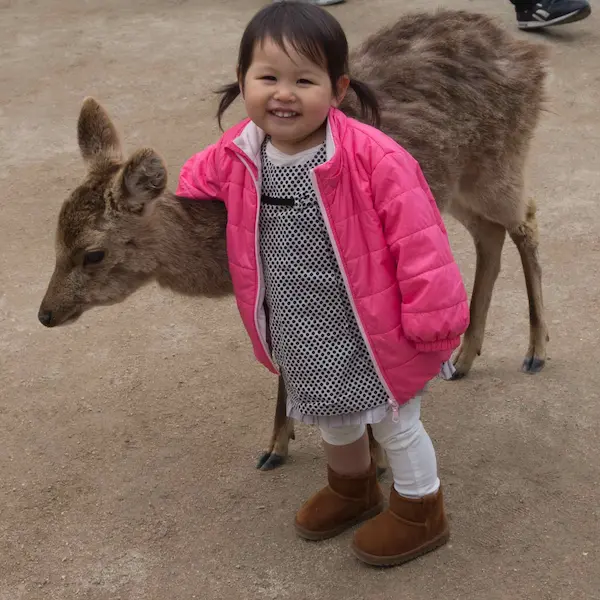 Deer, child